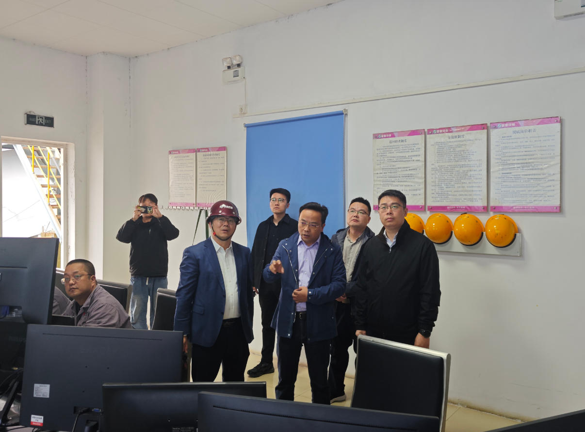 溧阳市副市长庄铠莅临江苏热电督查领导